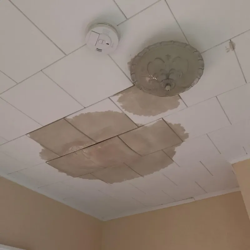 Ceiling Water Damage Repair in Ashland County, OH