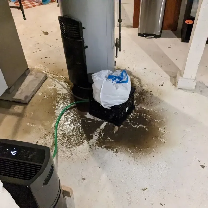 Sewage Backup Cleanup Service in Ashland County, OH